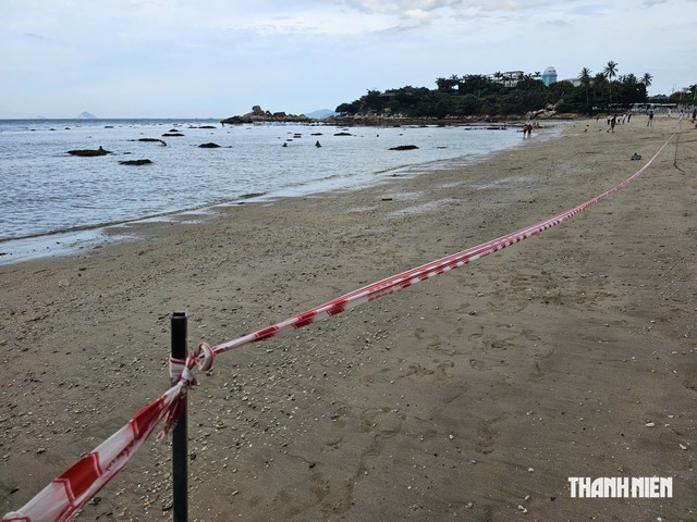 Cảnh báo nguy cơ tẩy trắng san hô ở vịnh Nha Trang - Ảnh 1.