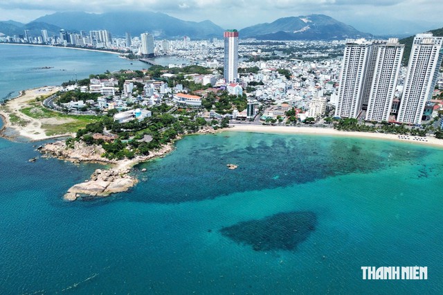 Cảnh báo nguy cơ tẩy trắng san hô ở vịnh Nha Trang - Ảnh 3.
