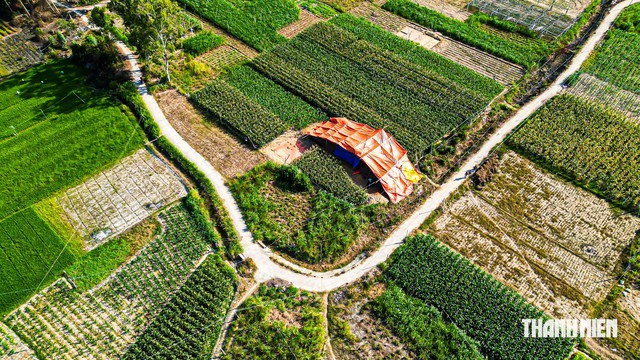 Phát hiện khu lò nung gần 1.800 năm tuổi trong thành cổ Châu Sa- Ảnh 5.