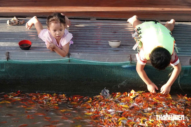 B&egrave; nu&ocirc;i c&aacute; th&agrave;nh điểm du lịch 'triệu view', ch&agrave;ng trai miền T&acirc;y thu nhập tiền tỉ - Ảnh 6.