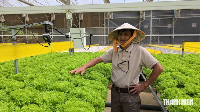 N&ocirc;ng nghiệp th&ocirc;ng minh mang lại hiệu quả kinh tế cao- Ảnh 1.
