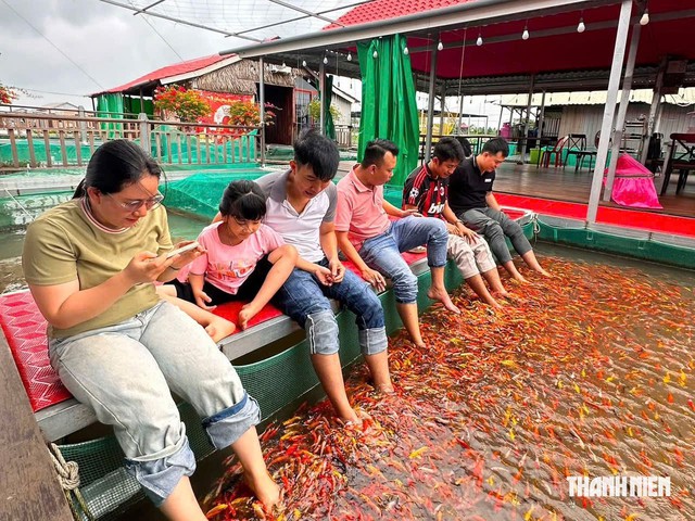 B&egrave; nu&ocirc;i c&aacute; th&agrave;nh điểm du lịch 'triệu view', ch&agrave;ng trai miền T&acirc;y thu nhập tiền tỉ - Ảnh 4.