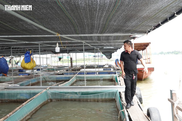 B&egrave; nu&ocirc;i c&aacute; th&agrave;nh điểm du lịch 'triệu view', ch&agrave;ng trai miền T&acirc;y thu nhập tiền tỉ - Ảnh 1.