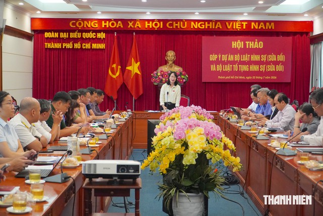 Vì sao đề xuất tăng mức phạt tù có thời hạn lên 30 năm? - Ảnh 3.