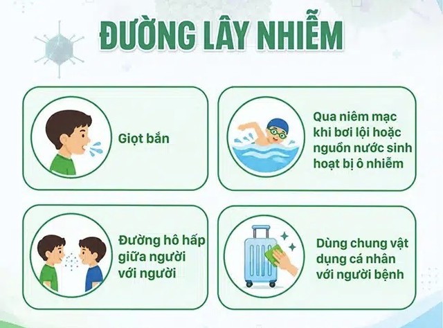 Bộ Y tế c&oacute; c&ocirc;ng văn khẩn về gia tăng ca bệnh do virus  Adeno- Ảnh 1.