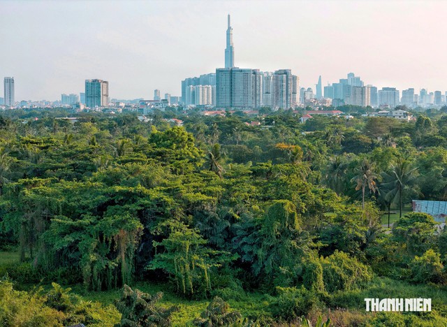TP.HCM giảm gần 60.000 ha đất nông nghiệp 5 năm tới - Ảnh 1.