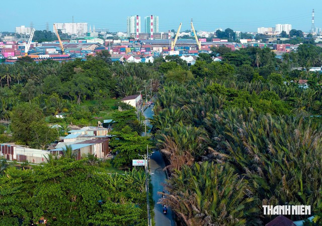 TP.HCM giảm gần 60.000 ha đất nông nghiệp 5 năm tới - Ảnh 2.