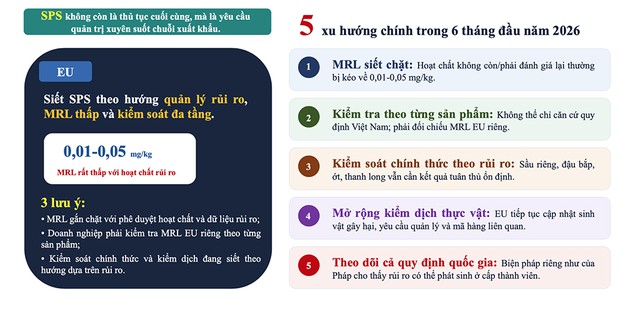 EU siết quản l&yacute;, n&ocirc;ng sản Việt Nam ứng ph&oacute; thế n&agrave;o?- Ảnh 2.