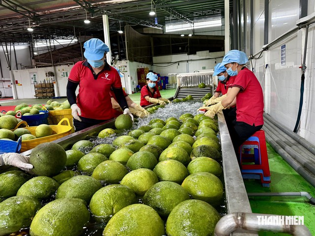 Tin tức đặc biệt tr&ecirc;n b&aacute;o in Thanh Ni&ecirc;n 25.7.2026 - Ảnh 1.