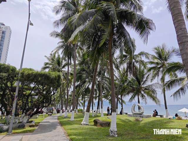 Nha Trang đánh thức không gian điêu khắc công cộng ven biển sau 20 năm - Ảnh 5.