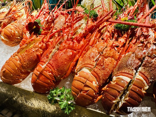 Tôm hùm sẽ trở thành ngành hàng tỉ USD mới của Việt Nam?- Ảnh 1.