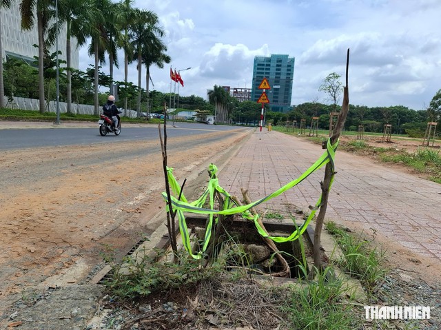 Hố ga nguy hiểm- Ảnh 1.