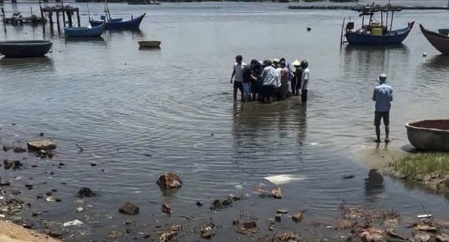 Quảng Ng&atilde;i: C&aacute; heo nặng khoảng 300 kg dạt v&agrave;o bờ - Ảnh 2.