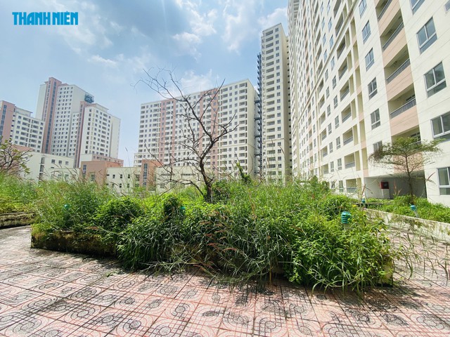 Đề xuất cho TP.HCM được chuyển đổi linh hoạt giữa c&aacute;c loại nh&agrave; ở   - Ảnh 1.