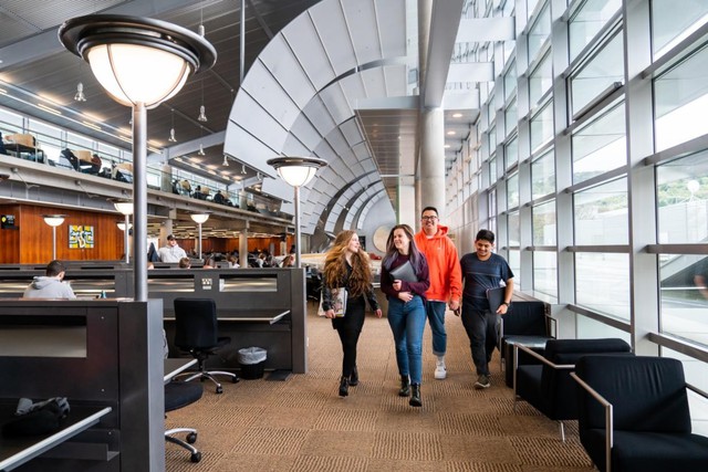 Học viện ứng dụng New Zealand được ưa chuộng nhờ tạo được lợi thế nghề nghiệp - Ảnh 3.