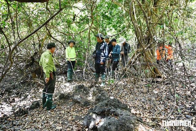 Giữ rừng thời c&ocirc;ng nghệ: Những b&oacute;ng hồng Katien- Ảnh 1.