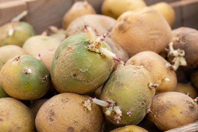  Bác sĩ chỉ rõ nguyên nhân, hậu quả và cách phòng - Ảnh 2.