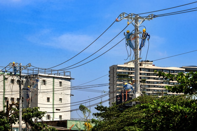 Ảnh dự thi:  - Ảnh 5.