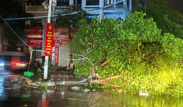 Người dân Móng Cái thức trắng đêm canh bão số 1
- Ảnh 1.