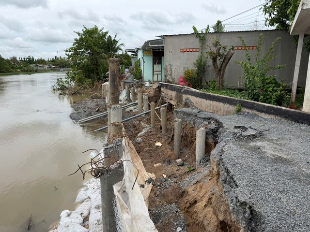Sạt lở sông Cổ Cò, phải phong tỏa đường dân sinh vừa làm xong- Ảnh 3.