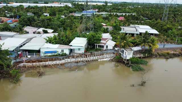 Sạt lở sông Cổ Cò, phải phong tỏa đường dân sinh vừa làm xong- Ảnh 1.