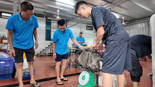 Giữa bão số 1, chủ khách sạn mổ lợn đãi khách 'mắc kẹt'- Ảnh 1.