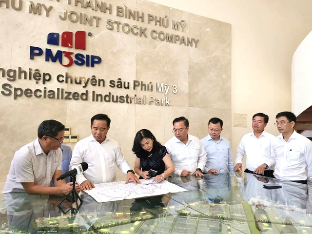 Khu công nghiệp chuyên sâu Phú Mỹ 3 đầu tư bài bản, hiệu quả - Ảnh 1.