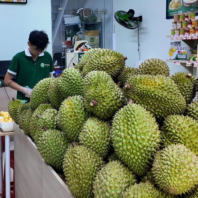 Giá sầu riêng giảm mạnh, vì sao?- Ảnh 3.