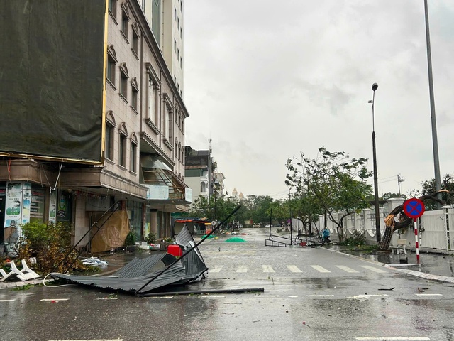 Bão số 1 quật ngã hàng trăm cây xanh, mái tôn ở Móng Cái - Ảnh 3.