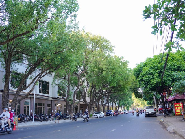 Điều gì giúp tuyến phố thương mại tại lõi huyết mạch Ban Mê sớm thành hình? - Ảnh 1.