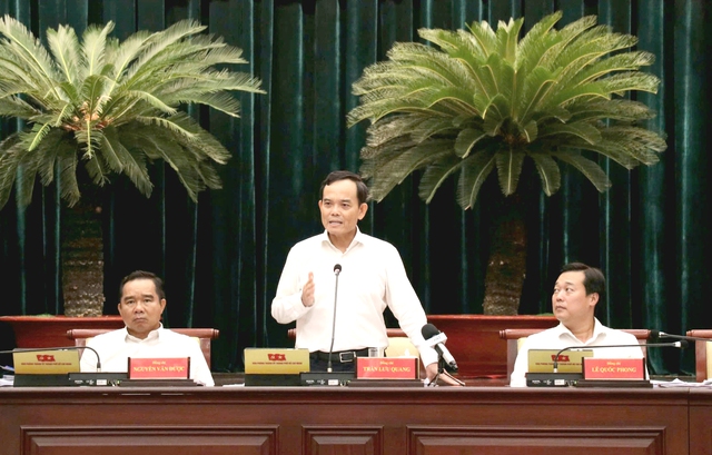 TP.HCM trình luật Đô thị đặc biệt trong tháng 8- Ảnh 1.