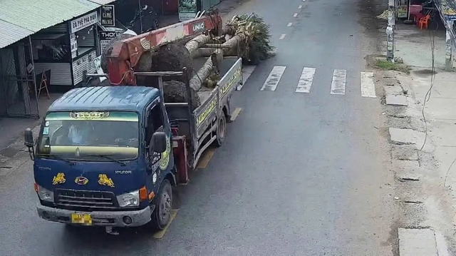 Xử lý tài xế lái xe cẩu chở hàng quá khổ bị camera giám sát ghi hình- Ảnh 1.