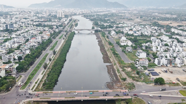 Vì sao chặt hàng cây trên sông Quán Trường ở Nha Trang?- Ảnh 1.