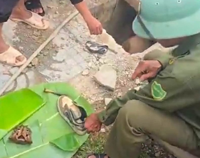 Phát hiện hộp sọ người khi dọn cỏ: Nạn nhân là người địa phương - Ảnh 1.