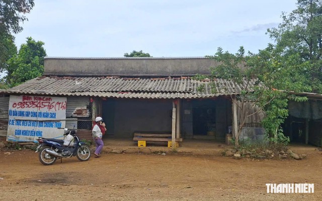 C&aacute; từ biển l&ecirc;n rừng: Nối đ&ocirc;i miền xu&ocirc;i - ngược- Ảnh 1.