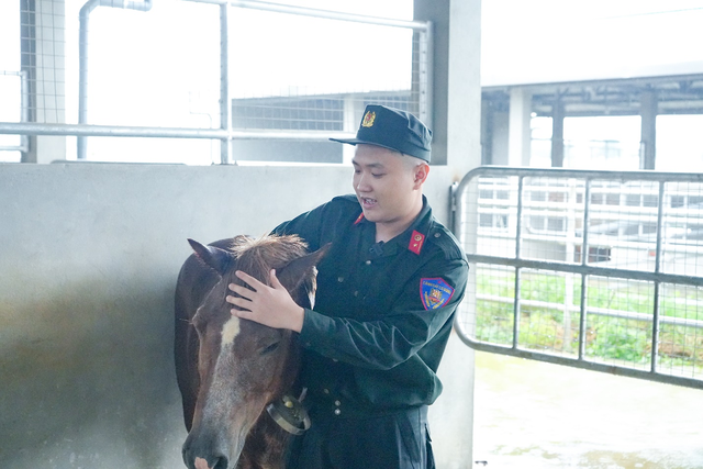 Cuộc chuyển giao đầy cảm xúc giữa hai thế hệ ngựa kỵ binh - Ảnh 3.