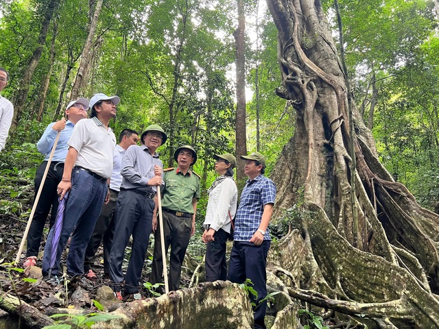 Gia Lai biến rừng đặc dụng thành điểm du lịch sinh thái - Ảnh 3.