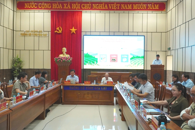 Gia Lai dẫn đầu diện t&iacute;ch sắn, thu ng&acirc;n s&aacute;ch hơn 16.200 tỉ đồng- Ảnh 1.