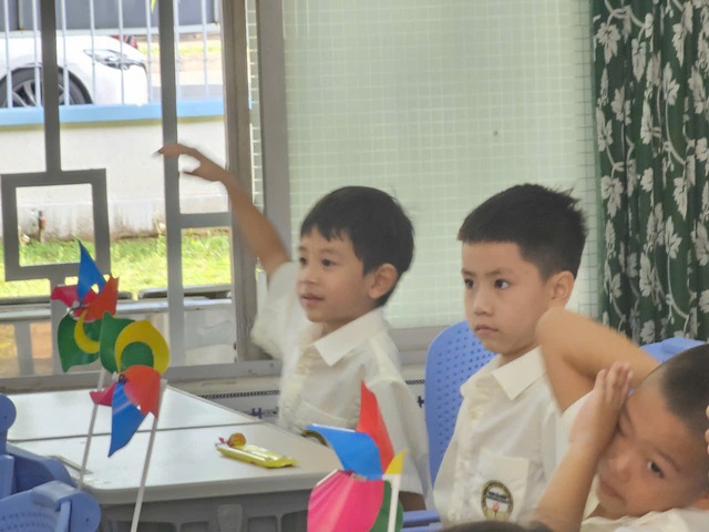 TP.HCM giải thể Trường tiểu học bán công Nam Sài Gòn, học sinh học ở trường nào? - Ảnh 1.