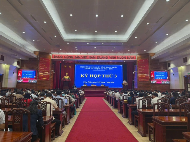 Nhiều vấn đề 'nóng' được nêu tại phiên họp HĐND tỉnh Đồng Tháp - Ảnh 1.