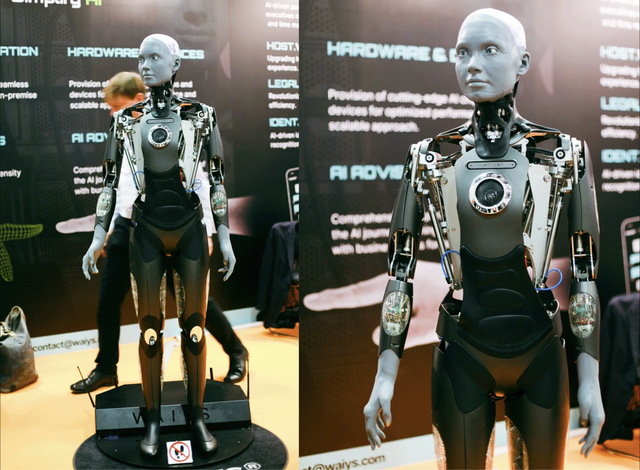 Thung lũng Silicon chia rẽ về robot hình người? - Ảnh 1.