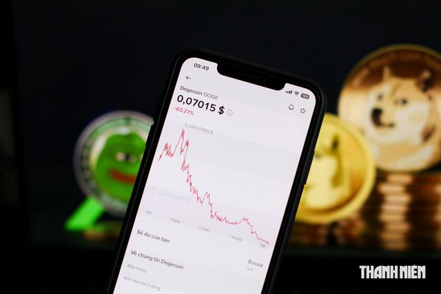Cơn sốt Memecoin đã kết thúc - Ảnh 1.