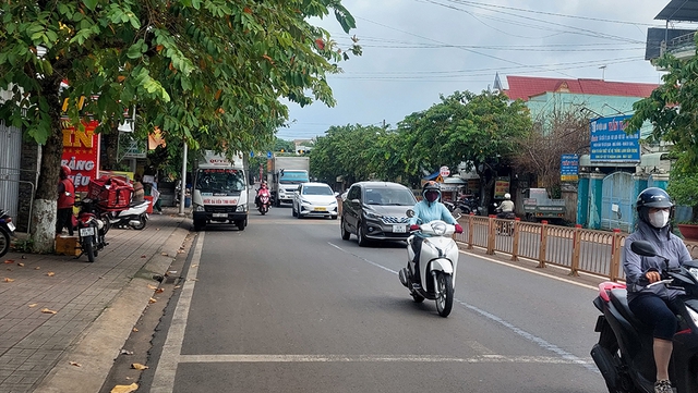 Tán cây xòe ra đường- Ảnh 1.