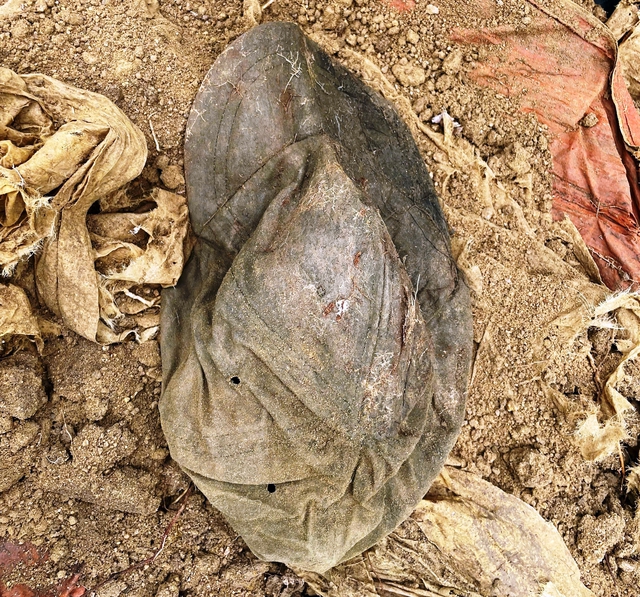 Phát hiện hài cốt 2 liệt sĩ, có mũ lưỡi trai chôn cùng trong phần mộ- Ảnh 1.