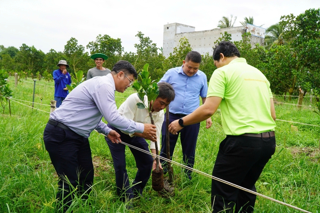 Xây dựng thương hiệu ‘Mít ruột đỏ Cái Ngang’ ở Vĩnh Long- Ảnh 2.