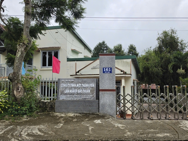 Công ty Lâm nghiệp Bảo Thuận để 5,47 ha đất rừng bị sử dụng sai - Ảnh 1.