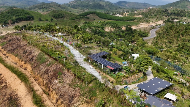 Khánh Hòa: Đưa cây tre vào vùng đất khó, mở hướng sinh kế cho đồng bào Raglai - Ảnh 4.