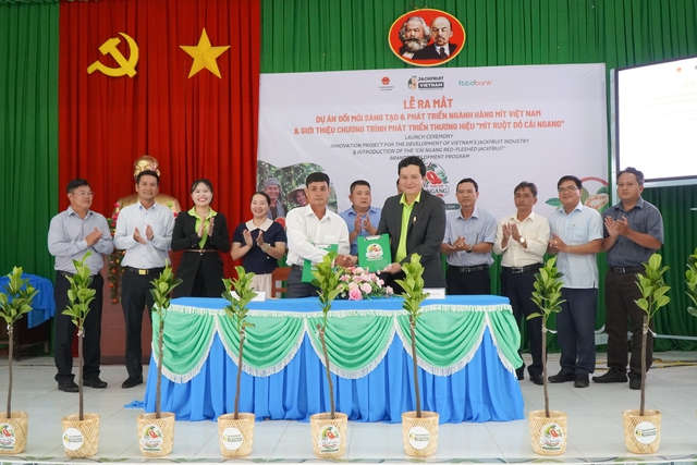 Xây dựng thương hiệu ‘Mít ruột đỏ Cái Ngang’ ở Vĩnh Long- Ảnh 1.