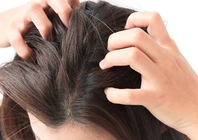 Tránh xa ngay 5 sai lầm khi chăm sóc tóc khiến U.30+ già hơn tuổi thật - Ảnh 6.