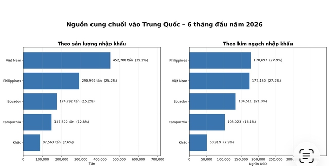 Chuối Việt Nam rớt hạng tại Trung Quốc, vì sao?  - Ảnh 2.
